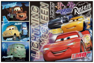 XP[^[ (skater) W[V[g STCY 60×90cm fBYj[ J[Y 23 VS1-A