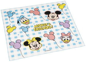 XP[^[(Skater) qp ٓ `NX 43×43cm LbY { fBYj[ ~bL[&tY D KB4