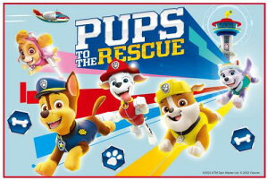 XP[^[ (skater) W[V[g STCY 60×90cm pEEpg[ 23 VS1-A