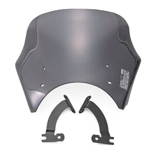 fCgi(Daytona) oCNp XN[ W230/OS1(25)p uXgoA[ X[N 61762