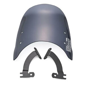 fCgi(Daytona) oCNp XN[ W230/OS1(25)p GAoCU[ X[N 62239