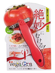 p[ xWN g}g  s[[ y{z C-300