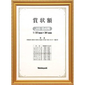 iJoV ؐ܏z PV B4(JISKi) t-KW-205J-H [ItBXpi]