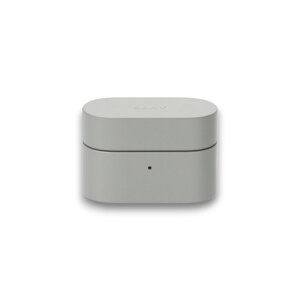 �\�j�[(SONY) WF-1000XM6�p�P�[�X�J�o�[ �v���`�i�V���o�[ HAC1000XM6CHC