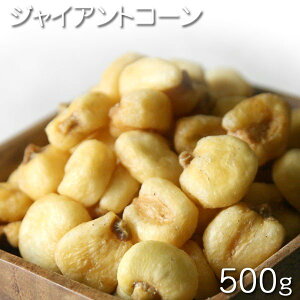[Ƃ낱]@ WCAgR[@500giRVE/y[Yj ܂݃ibc@@َqAVsp@fU[gp@XEB[cp@̍@@ۊǗp`bNt@