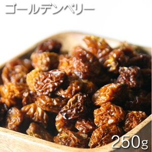 [hCt[c@R[fx[ 250g]@RrAY@R[fx[ 250g / 1pbNi܁j hCCJx[ / Hpق @َqAVsp@fU[gp@XEB[