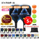【ポイント4倍UP!】楽天ランキング2冠達成！ピックルボール パドル 軽量ピクル ボール ラケット×2個 ボール4個付き …