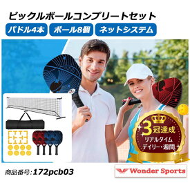 楽天ランキング1位！ピックルボールネットセット ポータブルネットシステム 公式サイズ ピックルボールコート ピックルボールコートセット ピックルボールコートセット パドル4本 ピックルボール8個付き キャリングバッグ 172pcb03
