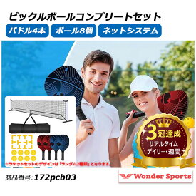 楽天ランキング3冠達成！ピックルボールネットセット ポータブルネットシステム 公式サイズ ピックルボールコート ピックルボールコートセット ピックルボールコートセット パドル4本 ピックルボール8個付き キャリングバッグ 172pcb03