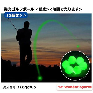 �i�C�g�S���t�{�[�� 12�Z�b�g �S���t�{�[�� ���� ��S���t �{�[�� ����S���t�{�[�� �~���^�C�v �g���[�j���O �p�b�e�B���O �S���t�p�b�e�B���O ���K�c�[�� �p�b�g ���K�p�i �����^�ѕ֗�