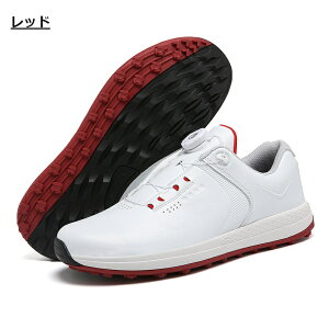 y؂ꎟIzy3,000~OFFzStV[Y _C BOA XpCNX Xj[J[^Cv ₷ ɂ K h RȂ Y Ehp X|[c y ʋC St