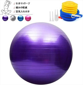 楽天市場 ピン バランスボール スポーツ器具 フィットネス トレーニング スポーツ アウトドアの通販