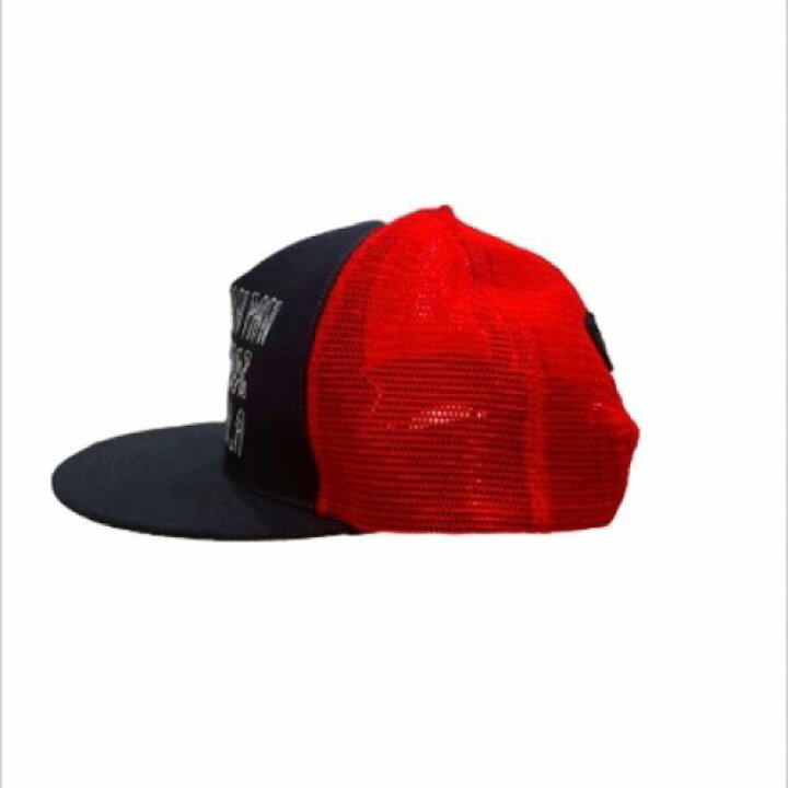 楽天市場】【正規取扱店販売品】CVTVLIST カタリスト CTLS P.P.P MESH 