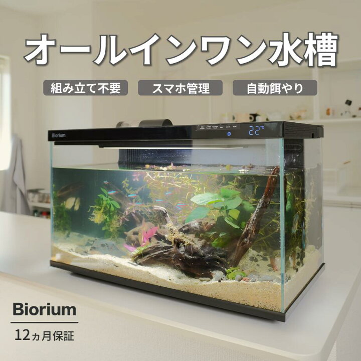 Biorium IoT搭載 クリアガラス 自動給餌機