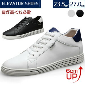 Y Xj[J[ V[NbgV[Y CcmUP  [Jbg Xj[J[ wȂ gAbv Cq[ ~ ɂȂ V[NbgXj[J[ ɂ  JW