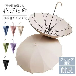 ԂтP 16{ JP P WvP Ԃ̌` JP fB[X Y Wv 傫 IV  y ~J  킢 Ԍ` Mtg v[g lC ~J bsO 蕨