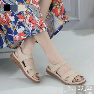 fB[X T_  ANXgbv }WbNe[v X|[cT_ RtH[g _炩 ₷ AEghA s RtH[gT_ fB[X  }}T