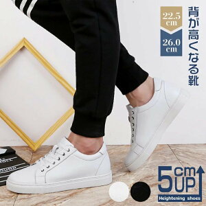 Y Xj[J[ V[NbgV[Y CCMAbv tďH {v  ʋ ʊw wȂ Xj[J[ gAbv WMO g[jO Cq[ V[NbgXj[J[ 