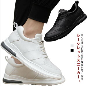 V[NbgV[Y Xj[J[ Ycm YcmcmAbv V[Y gAbv Cq[ V[NbgXj[J[ [Jbg  C X|[c ʋ ʊw ₷ rWlX.-.cm