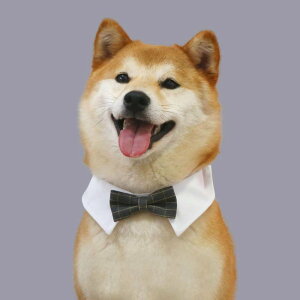 lN^C ybg am   oh L  ^ fj `FbN X^CbV  `[J[ ANZT[  