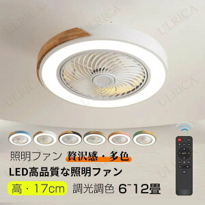 Ɩt@ V[Ot@Cg F led ^ k R V[Ot@ ^ 6 8 10 12 Cz t@Œ @t rO a dC Ɩ ȃGl hV