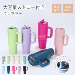 P{^u[  }O{g ^u[ Xg[t ^u[ e ^u[ Wt  ۗ ۉ tڂȂ XeX Wt hCu 킢Mtg 