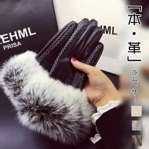   fB[X t@[t {v U[ X}[gtHΉ O[u N   킢 h h p 