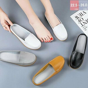 @JVtbgV[Y fB[X C V[Y JV tbgV[Y t tbg\[ [t@[ l ؂ ₷ l @oXNtg JVV