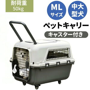 ybgL[P[X ω׏dkg nht LX^[t ^ ^ ^ IATAqAΉ ܂肽݉\ ʋCQ Ԉړ sp N[g M/LTCY