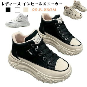 fB[X Cq[Xj[J[ Xj[J[ O V[NbgV[Y fB[XXj[J[ ^C q[Abv y r ɂ V[Y [XAbv gAbv