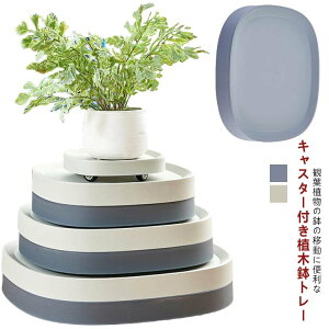 ���u���� ��� �l�p ���� �ϗt�A�� �v�����^�[�X�^���h �v���[�g ���� �z�[���L�����[ �v�����^�[�� �v�����^�[�x�[�X �L���X�^�[�t�� �󂯎M ���A�� �A�ؔ��g���[ ����� ������� �L��