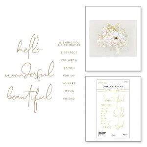 yGLP-356z/XyoC_[Y/ O}[v[g/HELLO, FRIEND SENTIMENTS GLIMMER HOT FOIL PLATE@hello wonderful beautiful eLXg@11Zbg ͌^ł͂܂