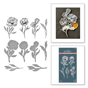 x^[vXv[g/ BP-108 / ԁ@t s/@FLOWER STEMS PRESS PLATE & DIE SET@/XyoC_[Y ̓x^[vXv[gƃ_C̃ZbgƂȂ܂