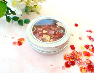 ANZT[/LL311 /n[g XpR[@My Valentine Embellishments /XyoC_[Y