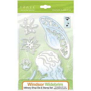 12E /gjbNEX^WI/_Ci^j/The Millinery Shop Windosr Widebrim  Xq X^vZbg