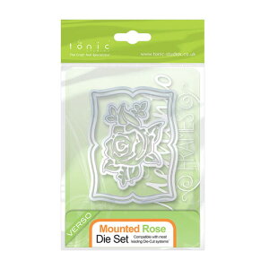 778E /gjbNEX^WI/_Ci^j/Memento Frame Mounted Rose [Y `[t