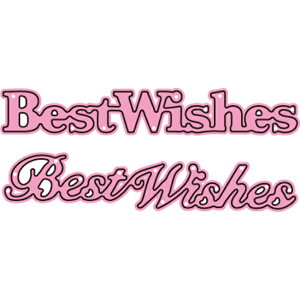 DCM226/�G�����e�B�[�i/�_�C�i���^�j/BEST WISHES �e�L�X�g