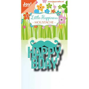 y6002-1317z/WCENtc/_Ci^j/Maoustache }X^bV E@Happy Bday a߂łƂ