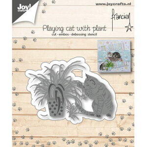 6002-1127/WCENtc/_Ci^j/playing cat with plantLƐA