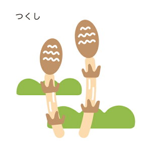 N42-224/_[nEX/_Ci^j/horsetail  cNV yM