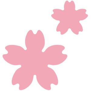 N42-228/_[nEX/_Ci^j/cherry blossom TN  