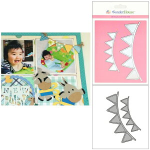 310/_[nEX/_Ci^j/Flags tbO 2