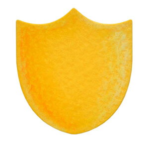 N35-221/_[nEX/_Ci^j/label x