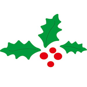 N42-068/_[nEX/_Ci^j/christmas NX}X holly Ђ炬