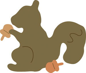 N50-008/_[nEX/_Ci^j/squirrel X 肷