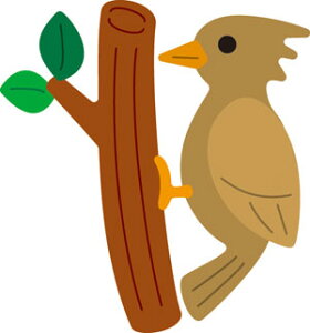 N50-021/_[nEX/_Ci^j/woodpecker LccL 