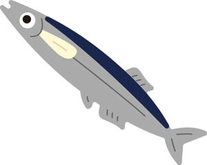 50-109_W1349/_[nEX/X|W_Ci^j/fish   T} HiӁFX|W͔gpj
