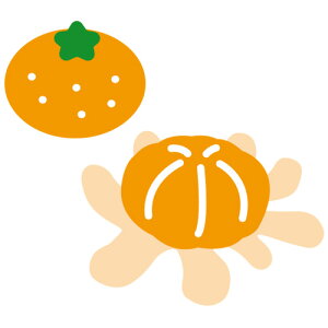 N42-281/_[nEX/_Ci^j/ ݂ ~J