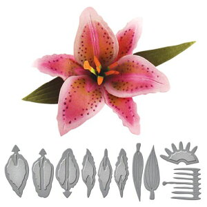 S2-064/XyoC_[Y/_Ci^j/SHAPEABILITIES CREATE A STARGAZER LILY ETCHED DIES S  