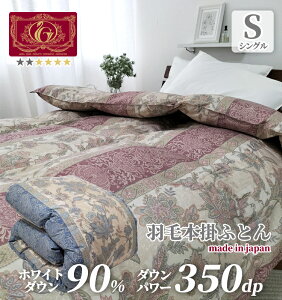 Hѕzc@{| VO@IzCg_bN_E90%@1.1kg@150×210cm@GNZS[hx _jVbg@ ӂ痧̃Lg _Ep[350dpȏ p[AbvH |c@